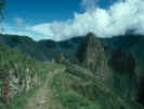 Inca Road at Machu Pichu 1.JPG (45452 bytes)