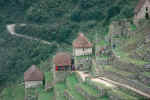 Machu Pichu, Thatched dwellings.jpg (122538 bytes)