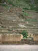 Ollantatyambo, rammed earth wall.jpg (70208 bytes)