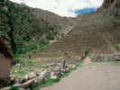 Terraces at Ceremonial Precinct Ollantaytambo.JPG (71488 bytes)