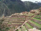 Terraces at Ollantaytambo 1.JPG (69489 bytes)